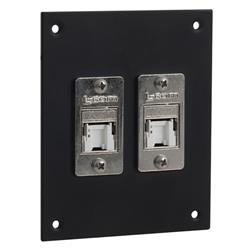 Universal Sub-Panel, 2 Shielded Category 6 Tool-less PoE+ Compliant Jacks的图片