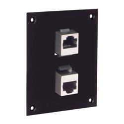 通用子面板，带2个超5类直角屏蔽式RJ45耦合器的图片