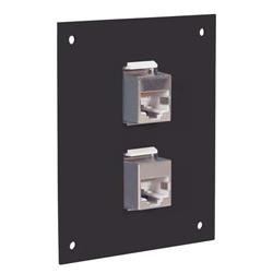 通用子面板，带2个110型屏蔽式6类插座，RJ45 EIA568的图片