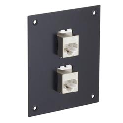 通用系列面板，带两个超5类屏蔽薄型微耦合器，RJ45直通布线的图片