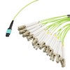 MPO带引脚插口到FLC扇出插口，24根光纤，OM5 50 / 125um多模，OFNR 光缆护套，柠檬绿，10米的图片